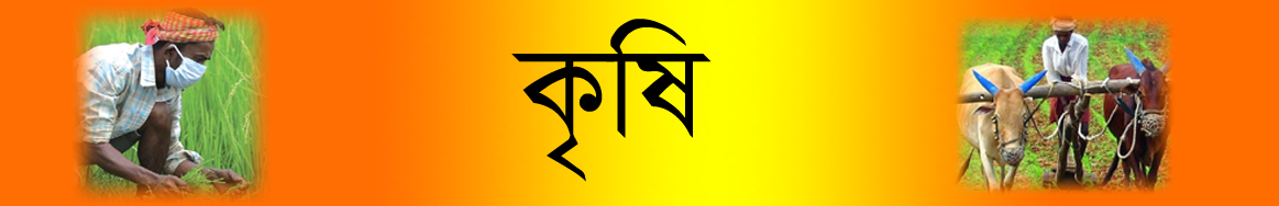 কৃষি
