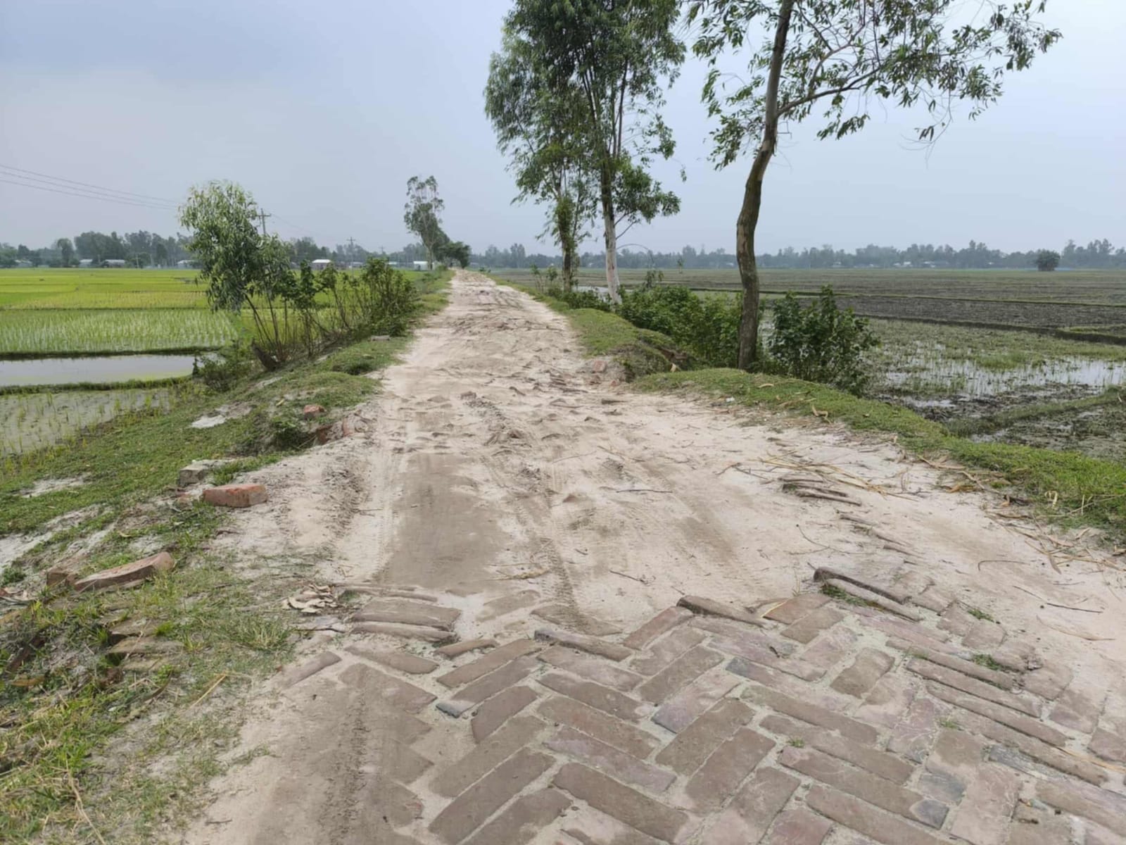 বৃষ্টিতে গর্ত, শুকনোতে ধুলো – তুহিন বাঁধ সড়কের অবহেলায় স্থবির জীবন