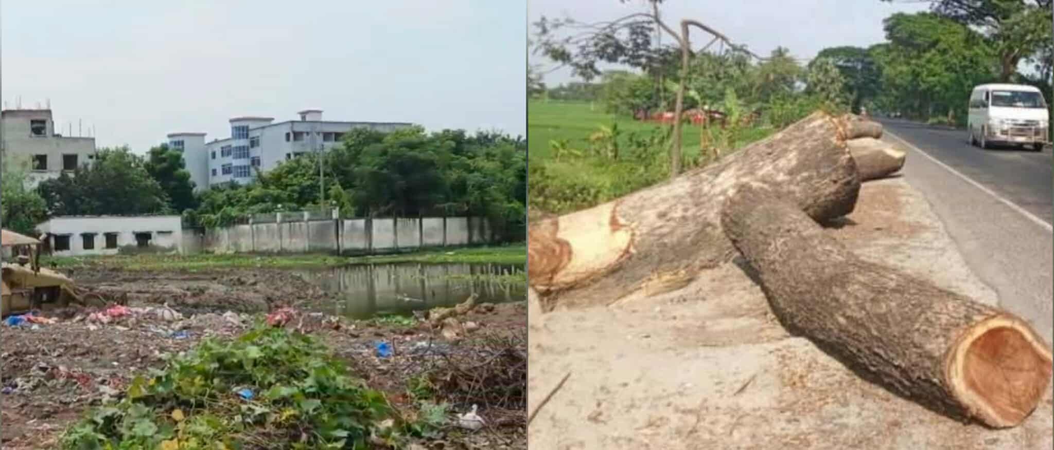 অভিযোগের পরও নেই ব্যবস্থা: প্রকৃতি রক্ষায় হাহাকার রাজশাহীবাসীর