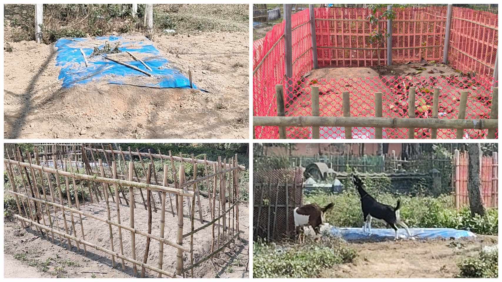 সন্ধ্যা নামলেই পঞ্চগড় কেন্দ্রীয় কবরস্থানে লুটপাট ও মাদকের আসর
